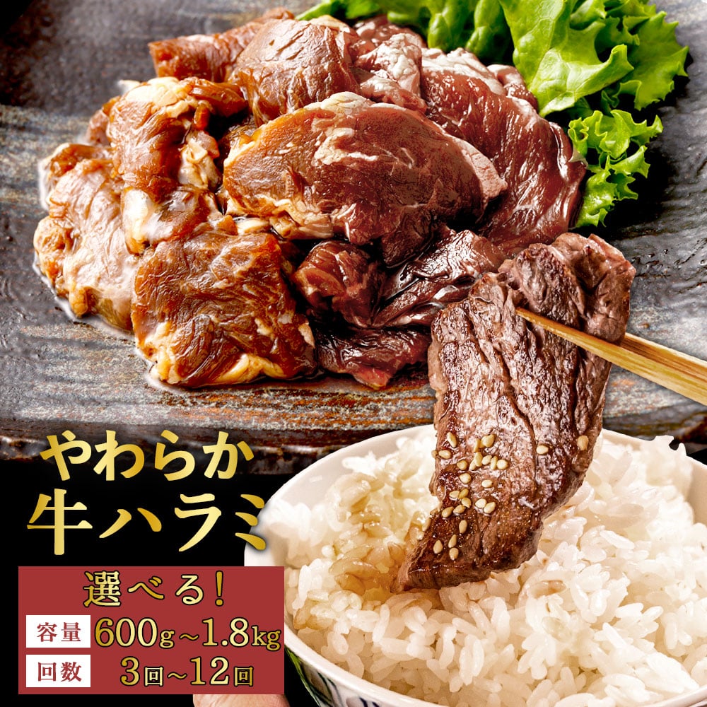 【ふるさと納税】【選べる定期便】やわらか 牛ハラミ（サガリ）肉 訳あり 選べる容量と回数 極旨秘伝醤油タレ漬け約300g×2袋～6袋 定期3回～12回 希少部位 牛肉 ハラミ 肉 お肉 焼肉 BBQ 炒め物 小分け 焼くだけ 簡単調理 時短 冷凍 鹿児島県 薩摩川内市 送料無料