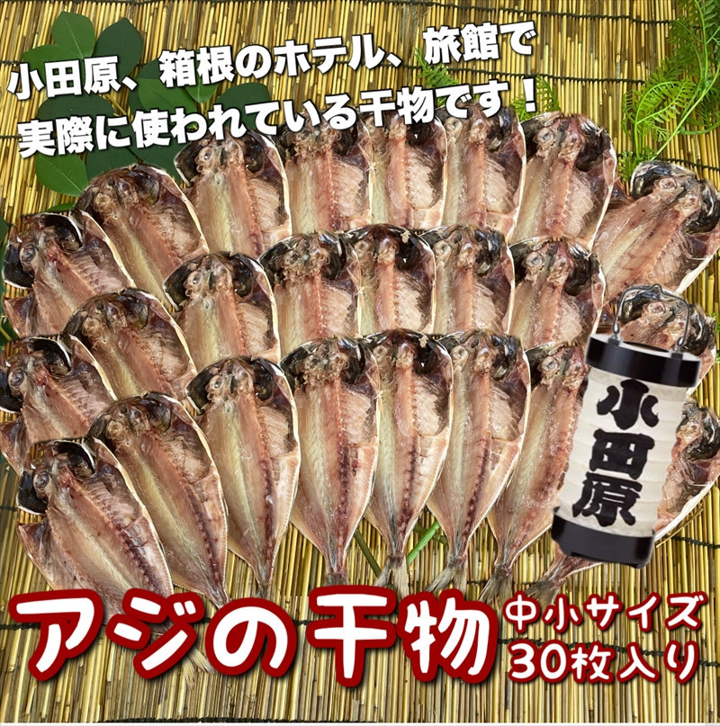 鯵の干物 中小サイズ 30枚セット 142069_DQ120