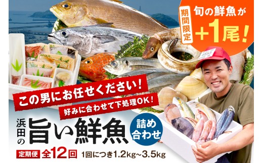 【期間限定特集】【12回定期便】 この男、極める！～浜田の旨い鮮魚12か月毎月お届けコース～ ＋ 旬の鮮魚1匹（初回のみ） 海鮮 セット 鮮魚 定期便 12回 詰め合わせ 鮮魚セット 海鮮セット 海鮮 下処理済み 【006_2058】