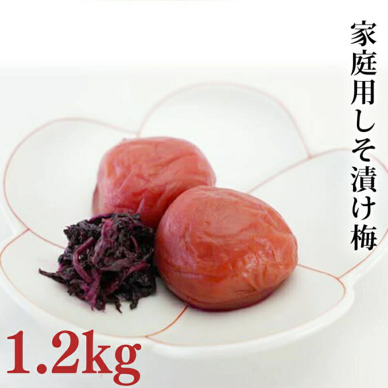 【ふるさと納税】【家庭用】みなべの梅（しそ漬け）1.2kg / 梅干し ウメ 紫蘇 紫蘇梅 塩分約10% おにぎり お弁当