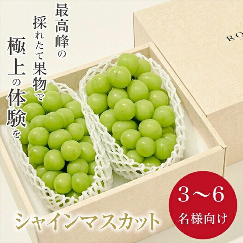 【ふるさと納税】 5-134 ＜先行予約2024年＞南アルプス市産 大粒シャインマスカット 2房入り 約1.3kg ふるさと納税 おすすめ 山梨県 南アルプス市 送料無料 ALPAL007