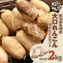 【ふるさと納税】75T-05【大口れんこん】新潟県長岡産レンコン2kg（1.6kg+芽れんこん0.4kg）