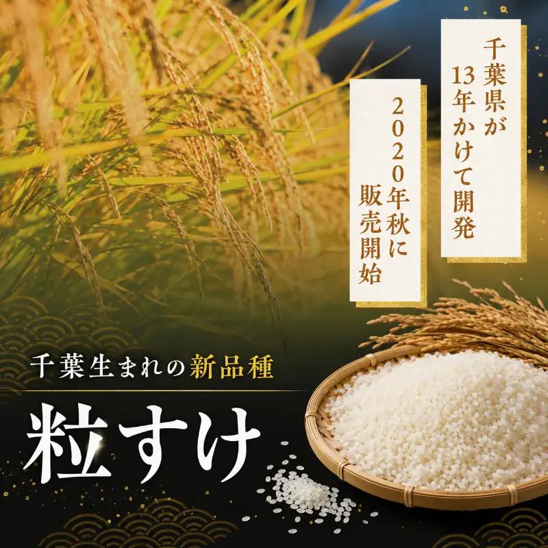 無洗米 令和7年 粒すけ 10kg ブランド米 無洗米