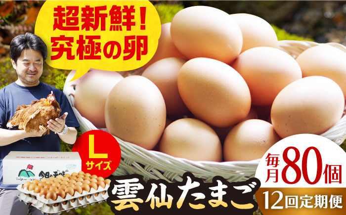 
【全12回定期便】雲仙たまご Lサイズ80個(75個＋割れ補償5個入り) 長崎県/塚ちゃん雲仙たまご村 [42ACAE019] 卵 玉子 タマゴ 鶏卵 長崎 島原 九州
