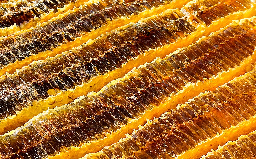 太宰府養蜂ThreeBeeFarm 140g×2個 （合計280g）