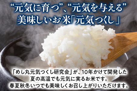 福岡の美味しいお米 元気つくし 5kg 令和4年度産 福岡県産 白米 お米 ご飯 ごはん 米 精米 おこめ こめ 送料無料