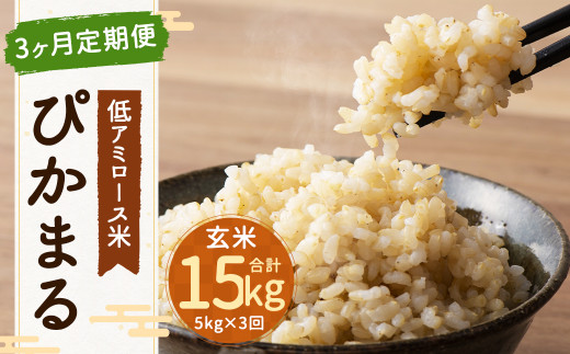 【 新米先行予約 】【 3ヶ月定期便 】低アミロース米 ぴかまる 5kg×3回 玄米 計15kg 【2026年11月上旬より順次発送開始予定】