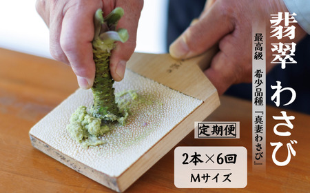 【6回定期便】「真妻わさび」本わさび Mサイズ 2本セット約160g×6回 計960g SKフロンティア 糸魚川 生わさび ワサビ 新潟県 山葵 お刺身 薬味 そば お蕎麦 風味 お刺身 絶品 味わい ワサビならではの味  わさび好き  