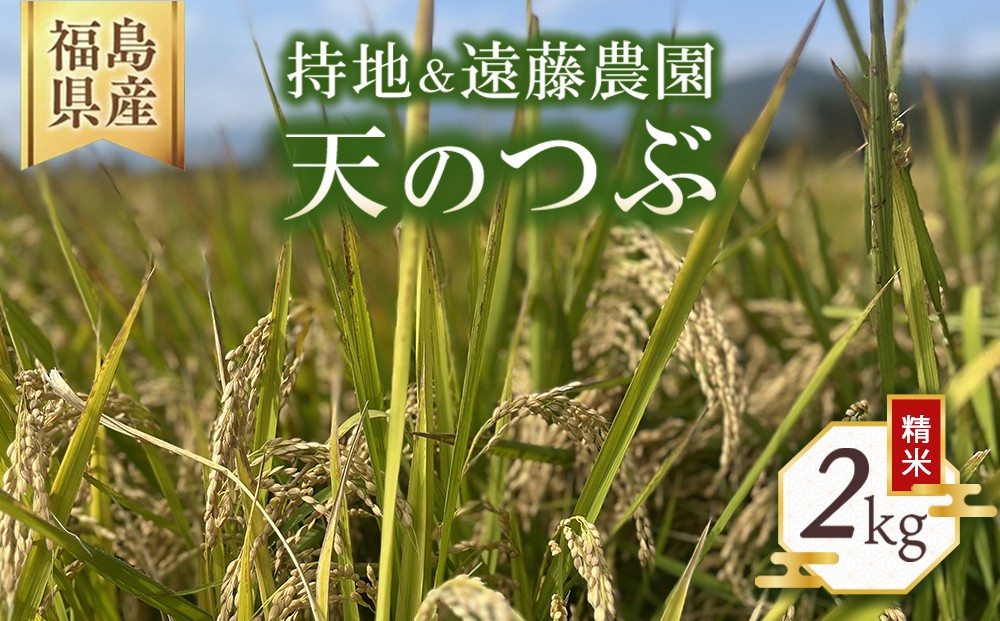 
                  天のつぶ 2kg | 米 お米 おこめ 精米 2キロ ご飯 ごはん 福島県 国見町 ※2026年10月～発送
                