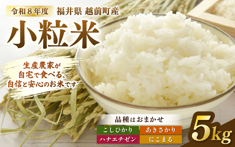 【先行予約】令和8年産 若干小粒米 5kg 福井県越前町産 コシヒカリ・ハナエチゼン・あきさかり・にこまるのいずれか1品種 【白米】 小粒規格米【2026年10月中旬以降順次発送】 [e81-a004