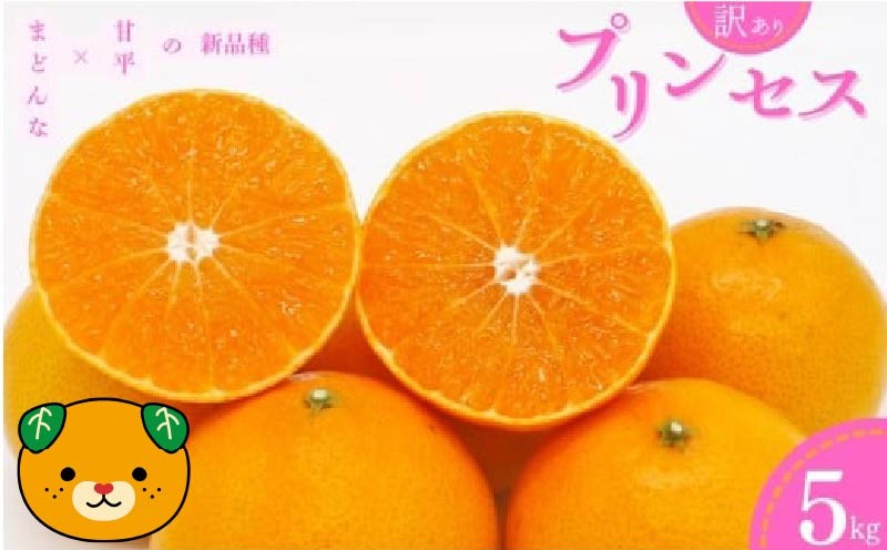 
                  【先行予約：2027年3月上旬～発送】 訳あり プリンセス 愛果48号 5kg  みかん 愛媛県 の 新品種 高級 人気 ブランド 柑橘 果物 フルーツ サイズミックス 甘い おいしい お取り寄せ 産地直送 農家直送 国産 特産品 中山農園 愛媛県 愛南町
                