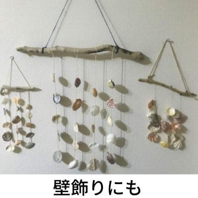 ふるさと納税 北見市 雰囲気の出る美しい流木　大中小サイズ混合　約5kg |  | 03