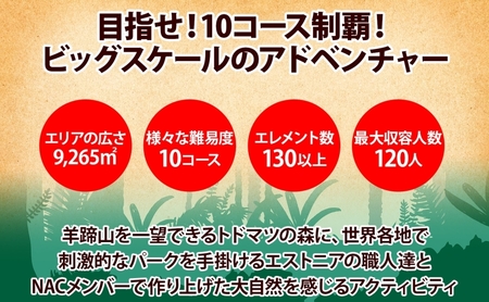 北海道 NAC アドベンチャー パーク 大人 1日券 1枚 アウトドア アクティビティ アトラクション 冒険 ジップライン 体験チケット バンジージャンプ 子供 大人 夏季 冬季 観光 ひらふ ニセコ
