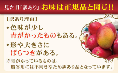 【先行予約】【訳あり】【高級】完熟プレミアム プリンセスマンゴー 不揃い 約1000g【堀内フルーツファーム】[QAT009] マンゴー まんごー フルーツ マンゴー プリンセスマンゴー 完熟マンゴー