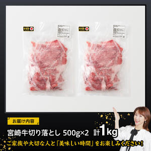 宮崎 牛切り落とし 1kg【 肉 牛肉 国産 宮崎県産 黒毛和牛 和牛 切り落とし 】