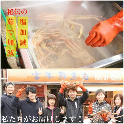 ふるさと納税 越前町 【2025年11月中旬頃より順次発送】【訳あり】《浜茹で》越前産せいこがに3杯(生で合計約600g) |  | 03