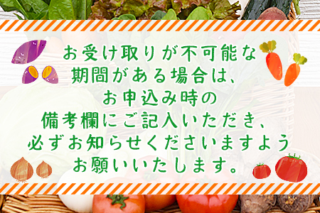 新鮮野菜の詰め合わせ NHH0001
