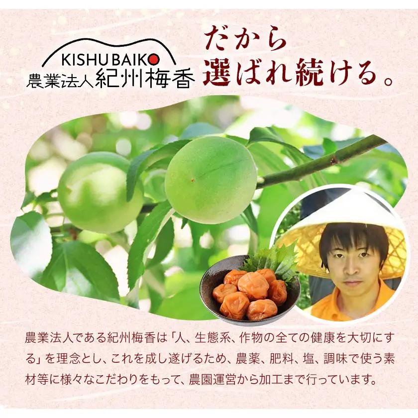 3年熟成 規格外品 昔ながらの 梅干し 約800g 農業法人 株式会社紀州梅香