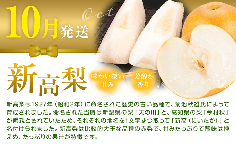 岡山県産 厳選 フルーツ 定期便 2回 シャインマスカット 新高梨 計3.1kg前後 株式会社藍《9月上旬-10月下旬頃出荷》 岡山県 浅口市 岡山県産 シャインマスカット 新高梨 梨 旬 フルーツ 