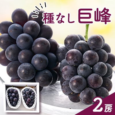 種なし巨峰(2房)【配送不可地域：離島】