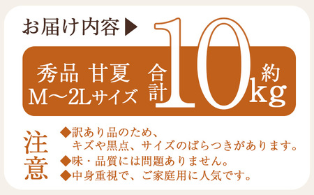 ＜秀品 甘夏 (M～2Lサイズ) 約10kg＞ あまなつ 愛媛 蜜柑 ミカン みかん 果物 フルーツ 柑橘 国産 秀品 ギフト 贈答用 贈り物 贈物 プレゼント 愛媛県産 西予市産 西宇和 特産品 丸