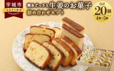 ショウガ カステラ パウンドケーキ 熊本どっさり生姜のお菓子詰め合わせ セット