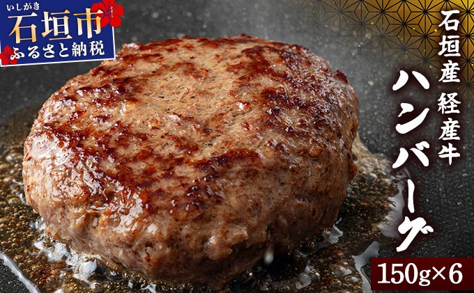 【2026年3月発送】石垣産経産牛ハンバーグ150g×6/箱