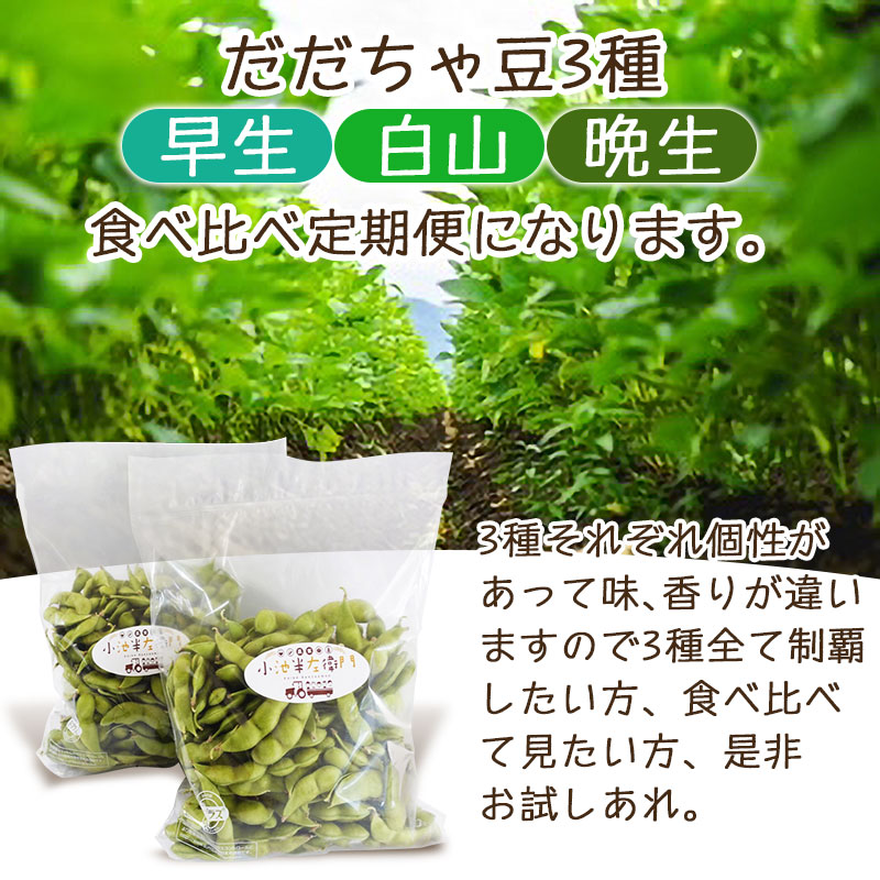 【令和7年産】朝採りだだちゃ豆（枝豆） 食べ比べ定期便 1.5kg (500g×3袋)×3回 お届け 早生・白山・晩生　小池半左衛門