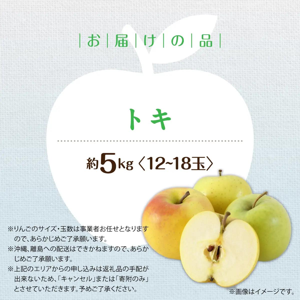 【先行予約】＜2026年10月中旬よりお届け＞北海道壮瞥町　りんご　品種名「トキ」12～18玉約5kg SBTF017