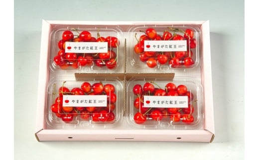 【上山産】さくらんぼ（やまがた紅王）７２０ｇ（１８０ｇ×４パック）特秀品　フードパック入り　0020-2611