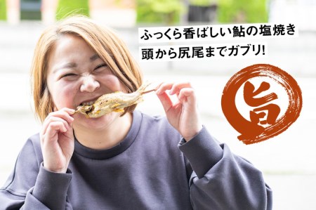 鮎の塩焼き 4尾 鮎 飛騨市 [Q711wx]