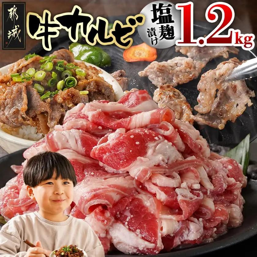 牛カルビ 塩麹タレ漬け1.2kg_LG-3326_(都城市)  味付き牛カルビ 300g×4パック 真空 小分け 1200g