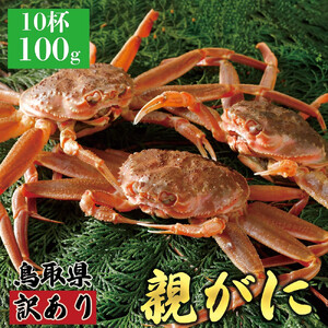 1073.【2025年12月発送】鳥取県産 特撰 親がに 姿【 セコガニ 】（なま）【訳あり】100g 10杯 | ズワイガニ ズワイガニ メス 蟹