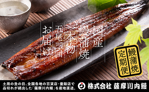 【3カ月定期便】国産うなぎ蒲焼（約170ｇ×5尾×3回）