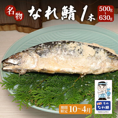 【ふるさと納税】名物なれ鯖 1本 500g～630g 期間限定10月から翌年4月 　お届け：2026年11月頃から発送開始