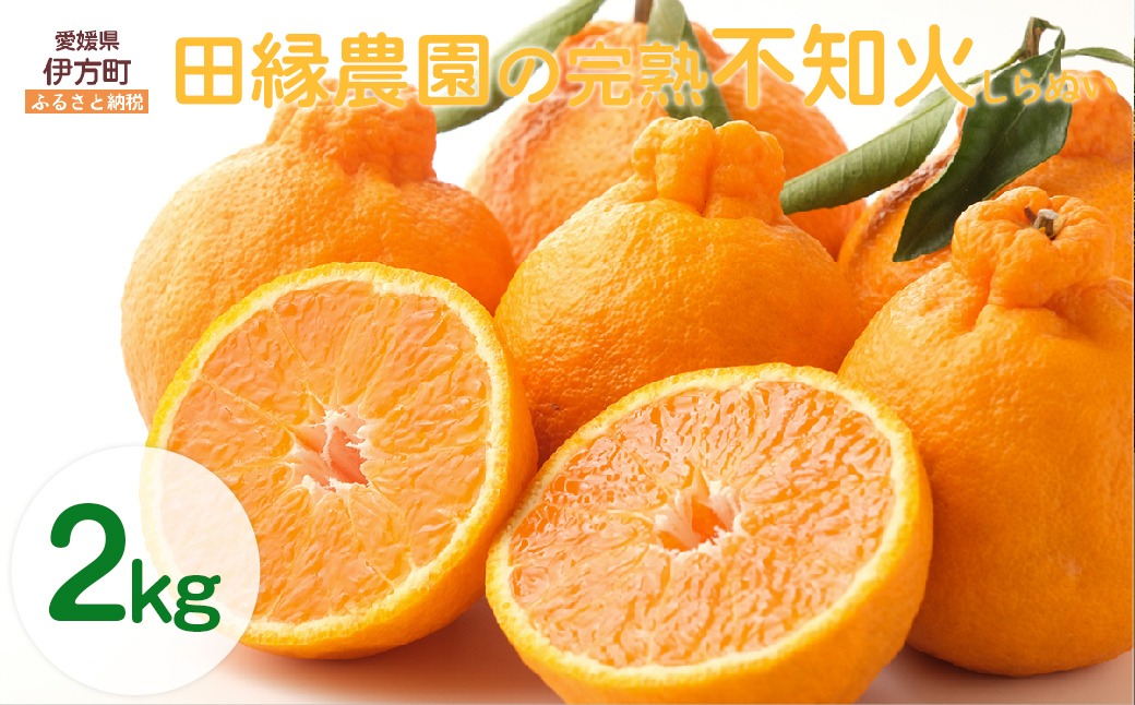 【先行予約】【数量限定】田縁農園の完熟不知火（しらぬい）2kg ※離島への配送不可 （2026年3月20日より順次発送） IKTA029