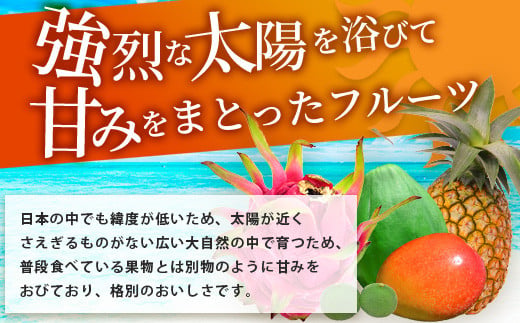 《2027年夏に順次発送予定》石垣島の夏「果物」詰め合わせ～夏のタカラモノ果物便～【 産地直送 沖縄 石垣 石垣島 くだもの トロピカルフルーツ 果物 南国 フルーツ 詰め合わせ フルーツ便 】SH-