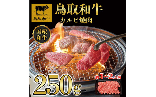 DN-012-004　鳥取和牛焼肉用カルビ250g