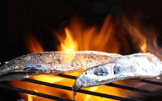 四万十市場のカツオ塩たたき自家製塩ポン酢(塩振り、スライス済み、血合い抜き)・カツオ生節醤油漬けセット