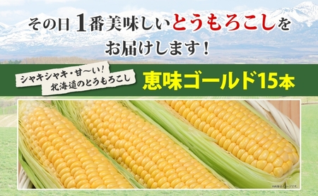 北海道 朝もぎ とうもろこし 恵味 ゴールド 15本 トウモロコシ コーン スイートコーン イエローコーン 黄色 とうきび もぎたて 旬 農作物 甘い おまかせ 十勝 党崎農場 送料無料