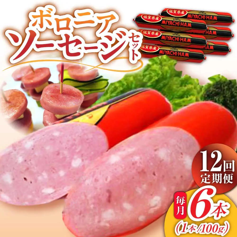【12回定期便】 ボロニアソーセージ6本 ソーセージ [UBM013]