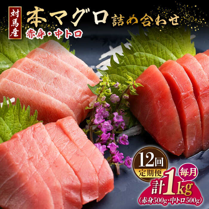 【ふるさと納税】【全12回定期便】対馬産 本マグロ 1kg（赤身500g、中トロ500g） ≪対馬市≫【桐谷商店】 トロの華 対馬 新鮮 マグロ トロ 鮪 刺身 鮮度抜群[WAQ054]