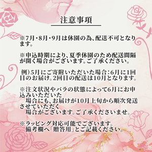【9ヶ月定期便】 バラ 花束 ブーケ 朝摘み 薔薇 花 定期便 母の日