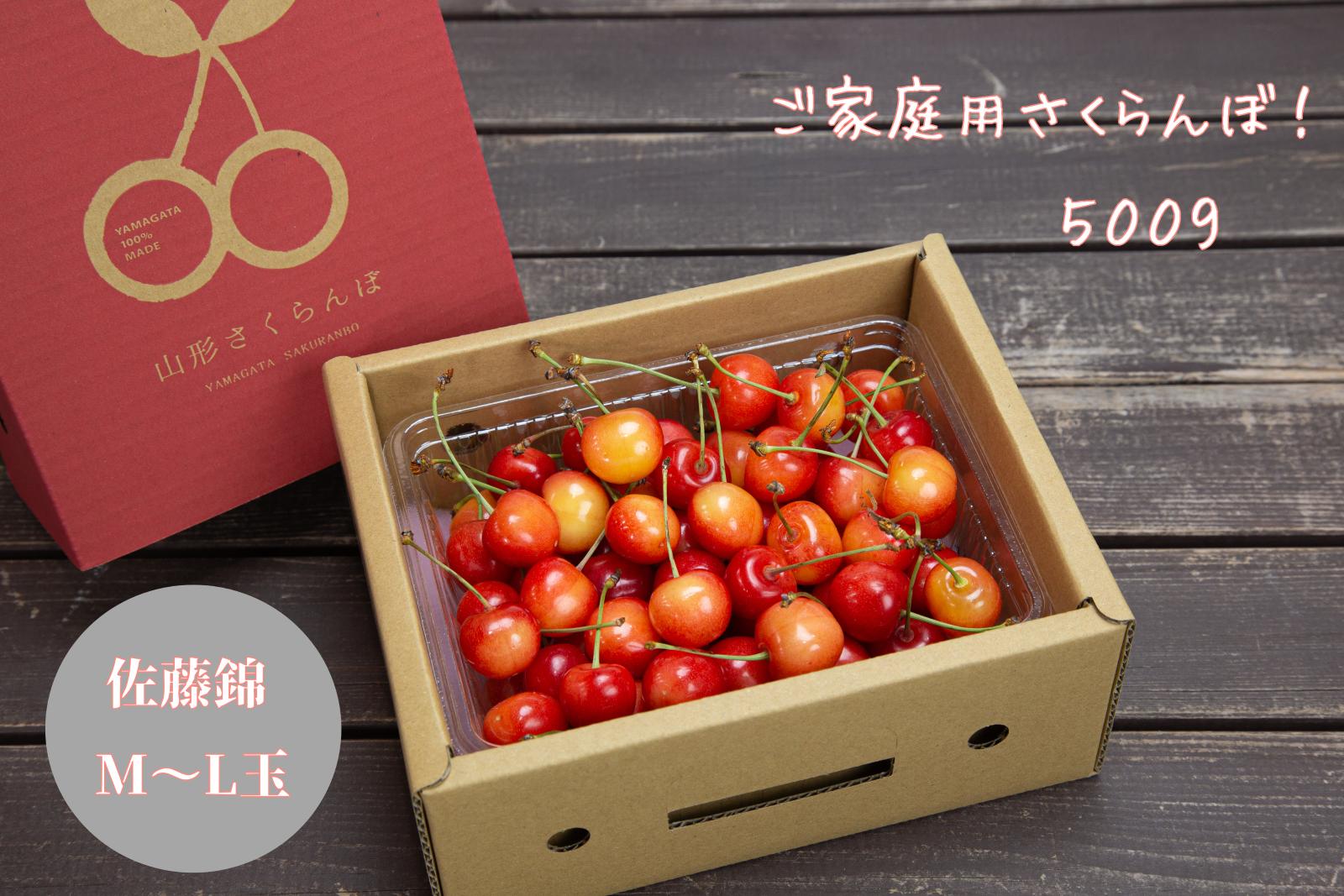 
            08-06-043　ご家庭用さくらんぼ(佐藤錦)500g
          