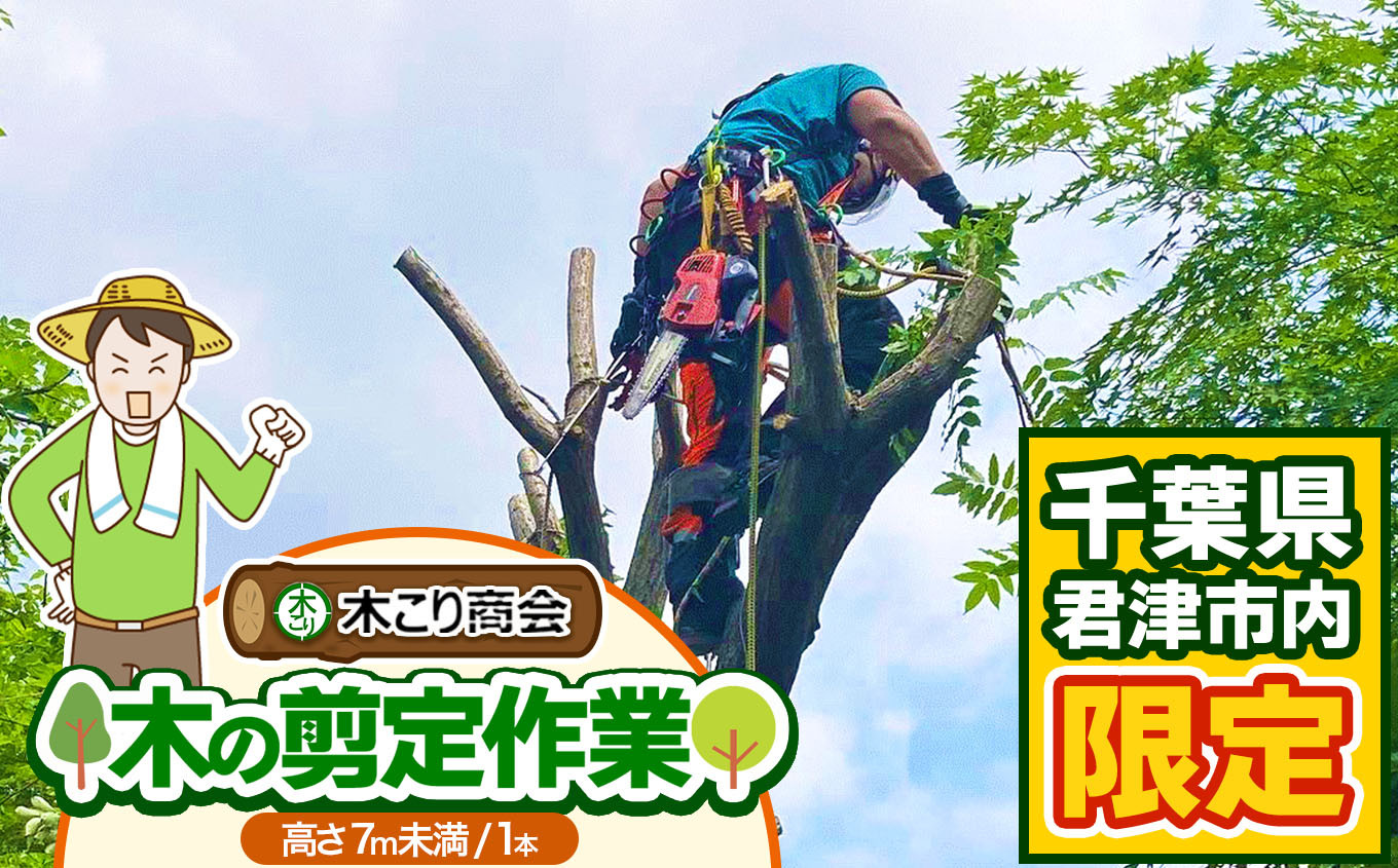 
君津市 木の剪定作業（高さ７m未満１本） 木こり商会
