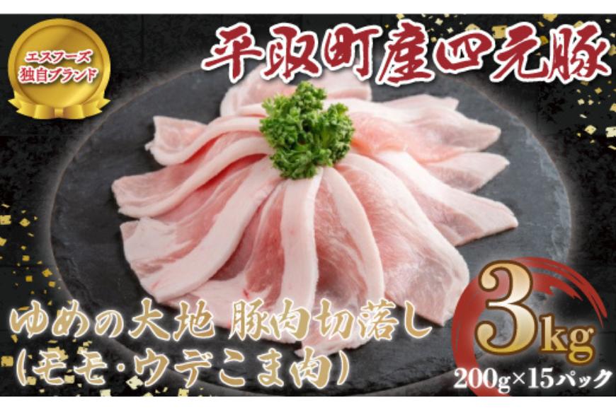 【平取町産四元豚】ゆめの大地豚ローススライス200g×5パック計1ｋｇ BRTD007