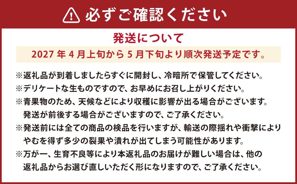 熊本県産 大玉春すいか 1玉