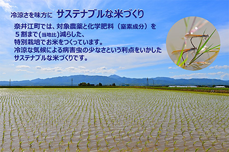 北海道奈井江町　特別栽培米　ゆめぴりか【無洗米】15kg