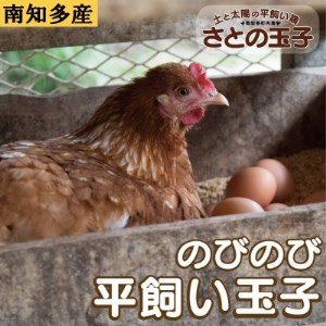 とりのさと農園の平飼い玉子60個 南知多産 