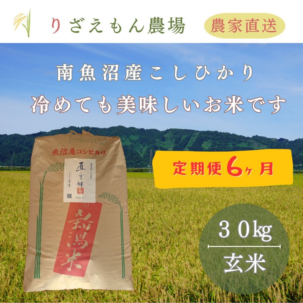 
            《新米予約受付》【定期便６回×玄米３０kg≪合計１８０kg≫】令和７年産　南魚沼産コシヒカリ　玄米 ３０kg　＼生産農家直送／【2025年10月上旬より順次発送予定】
          